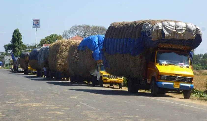 Whatever the fines ... the power of the officer ... the boring motorists !!